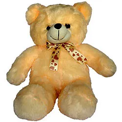 Wonderful Teddy Bear for Kids