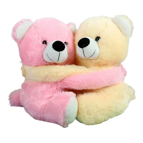 Exclusive Pair of Teddies with Intense Affection