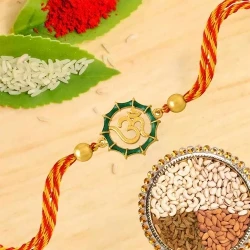4 Rakhi with 500 Gms. Assorted Dry fruits