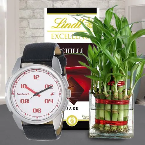 Exclusive Combo of Fastrack Watch Lindt Chocolate N Bamboo Plant