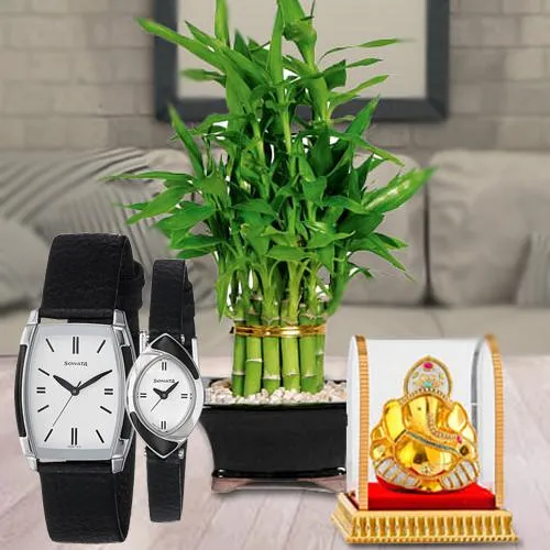 Elegant Lucky Bamboo Plant, Vignesh Ganesh N Sonata Watch Combo