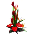 Arrangement of Bird of Paradise and  Anthuriums and Balloons with Teddy
