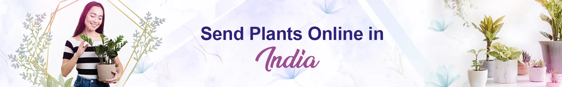Plants - Online Plants Delivery in India