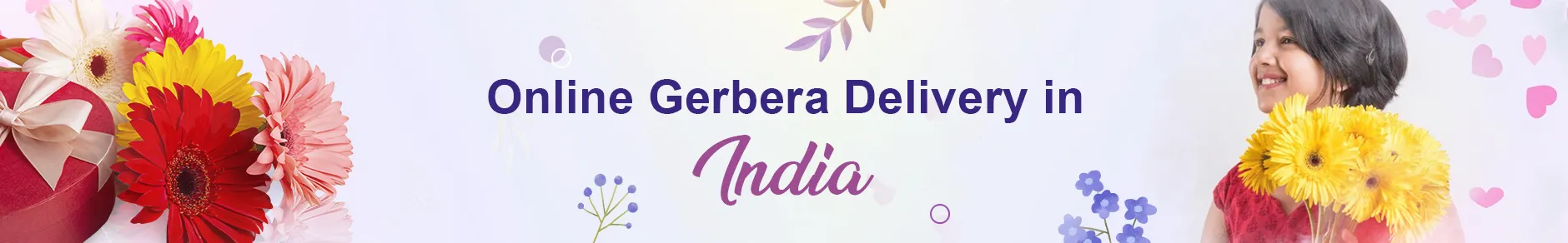 Gerbera