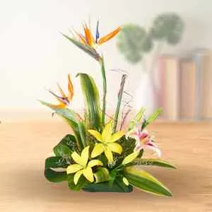 Traditional Pure Desire Arrangement of Lilies and Birds of Paradise