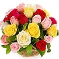 Shop Mixed Roses Arrangement with Balloons n Teddy