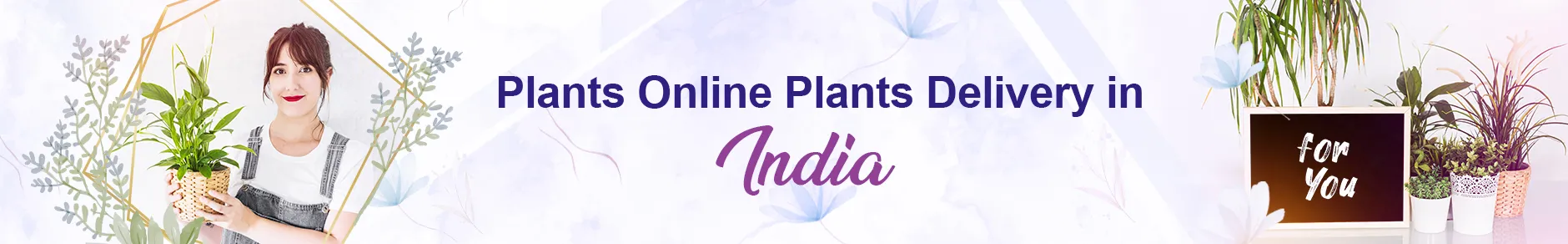 Plants - Online Plants Delivery in India