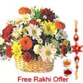 Fresh Seasonal Flowers Basket with Rakhi