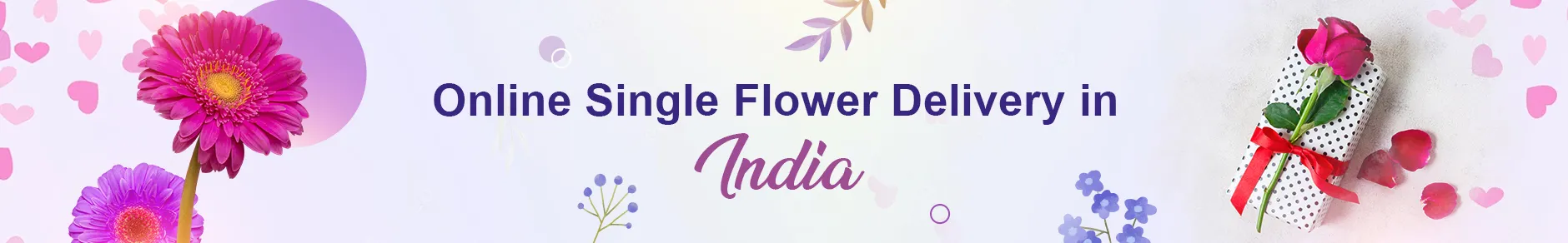 Single Flower