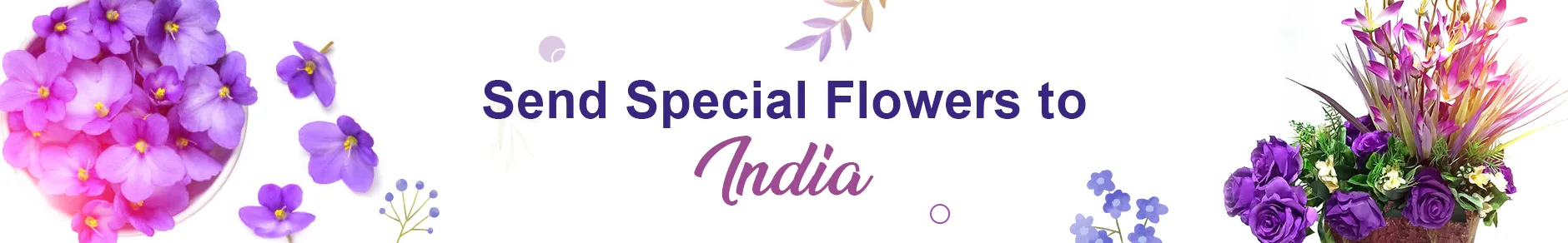 Special Flowers - Order Premium Floral Arrangements