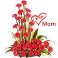Sending Mothers Day Red Carnations in Basket 