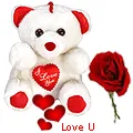 Big & Cute Teddy Bear(8-10 Inch) with Heart with One Velvet  Red  Rose